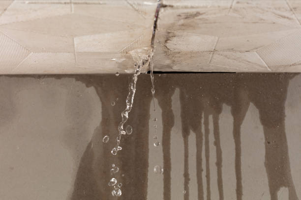 Professional Flood Damage Cleanup technician working in Honaunau, HI
